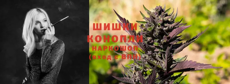 Конопля SATIVA & INDICA  цены   OMG ссылка  Канск 